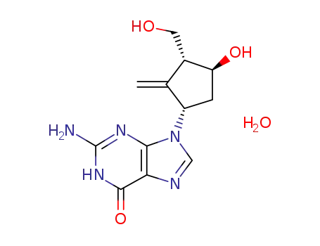 entecavir monohydrate